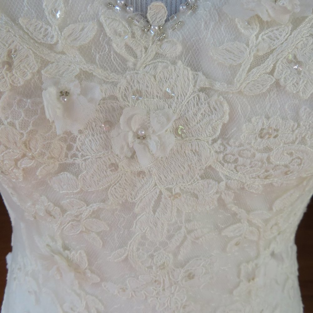 La Sposa by Pronovias Wedding Dress Rochelle - Picture 9 of 13